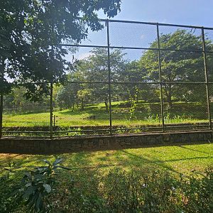 Pinnawala Zoo - Sri Lankan Leopard Enclosure