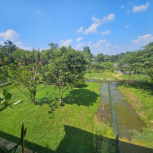 Pinnawala Zoo - Future Primate Islands (Work in progress)