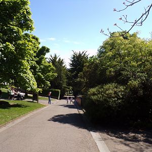 View of the zoo on a sunny day 20.5.24
