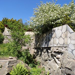 Mural on sun bear wall 20.5.24