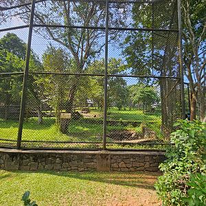 Pinnawala Zoo - Bengal Tiger enclosure