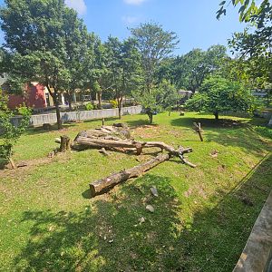 Pinnawala Zoo - Left side of Sri Lankan Sloth Bear enclosure