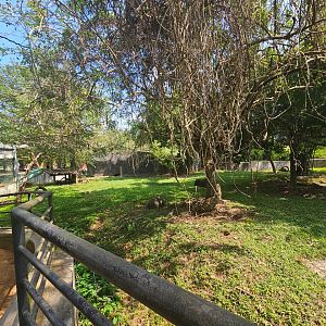 Pinnawala Zoo - Right side of Sri Lankan Sloth Bear enclosure