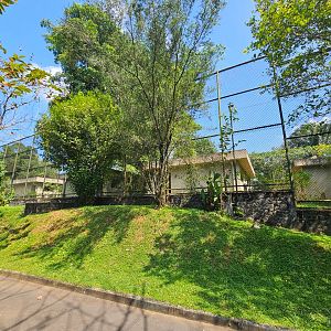 Pinnawala Zoo - Big Cat Backstage