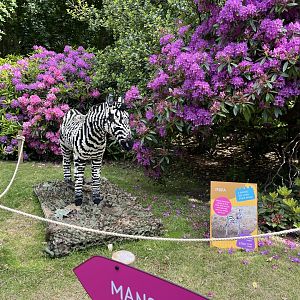 Lego sculpture 8.6.24