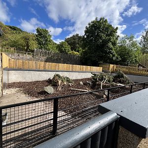 Refurbished cape porcupine enclosure 8.6.24