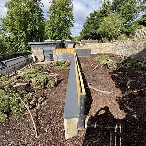 Refurbished cape porcupine enclosure 8.6.24