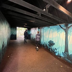 Redone magic forest area 8.6.24