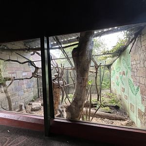 North luzon giabt cloud rat enclosure (0.5 version) 8.6.24