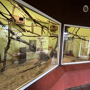 North luzon giant cloud rat enclosure (0.5 version) 8.6.24