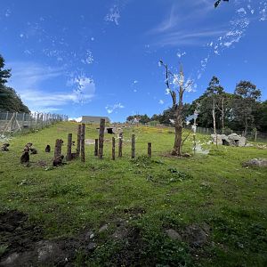 Gelada enclosure (0.5 version) 8.6.24