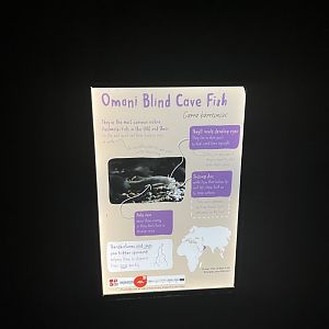 Signage example 29.6.24