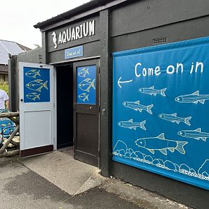 Entrance to aquarium 29.6.24