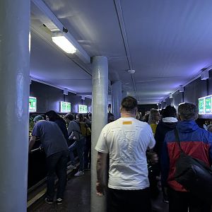 View inside the aquarium 29.6.24