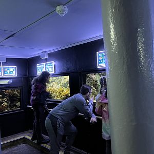 View of the aquarium tanks 29.6.24