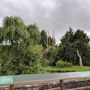 Chimpanzee enclosure 29.6.24