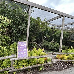 Aviary (species on sign) 29.6.24