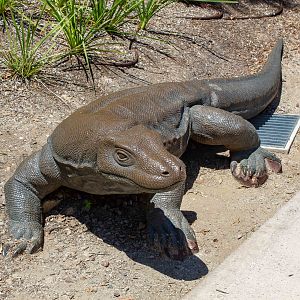 Model of a Komodo Dragon