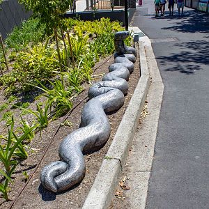 Model of large python