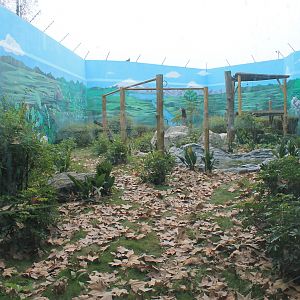 Chimpanzee enclosure