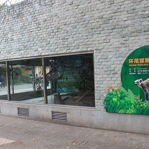 Indoor housing for Ring-tailed Lemurs