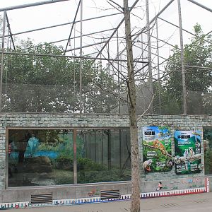 Primate cages