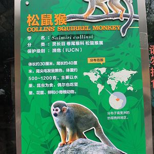 Squirrel Monkey signage