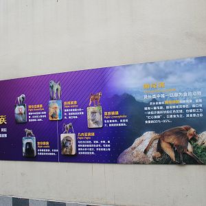 Primate signage (baboons)