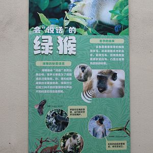 Primate signage (Green Monkey)
