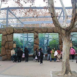 Jaguar and Leopard enclosures