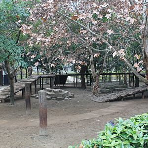 Sichuan Takin enclosure