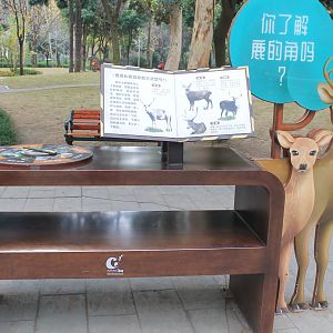 Deer interpretation signage