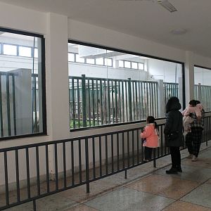 Inside the White Rhino house