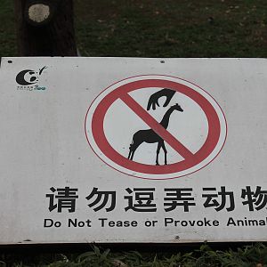 Signage not to pick up tiny giraffes