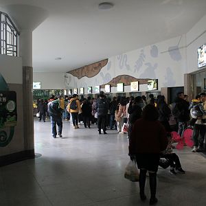 Interior of Reptile House