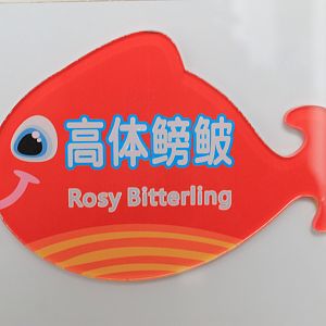 example of signage in the aquarium