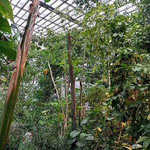 Palmiaria Miejska Gliwice - Utility Plant Pavilion