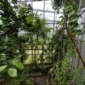 Palmiaria Miejska Gliwice - Utility Plant Pavilion