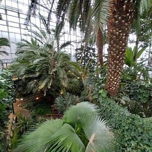 Palmiaria Miejska Gliwice - Historical Pavilion