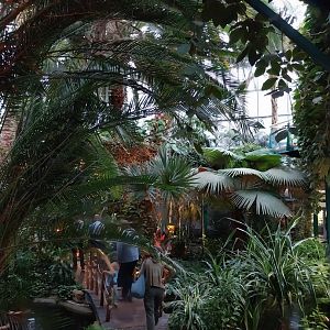 Palmiaria Miejska Gliwice - Historical Pavilion