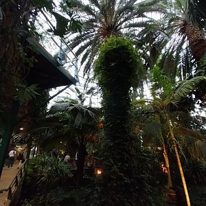 Palmiaria Miejska Gliwice - Historical Pavilion