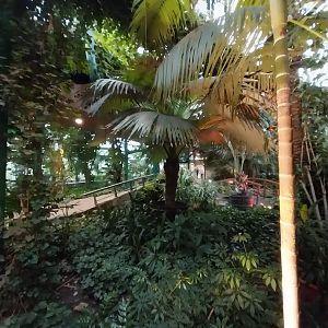 Palmiaria Miejska Gliwice - Historical Pavilion