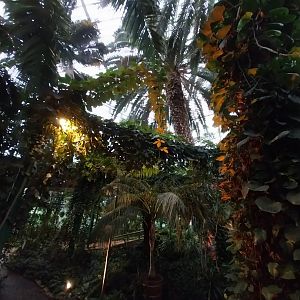 Palmiaria Miejska Gliwice - Historical Pavilion