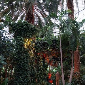 Palmiaria Miejska Gliwice - Historical Pavilion