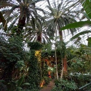 Palmiaria Miejska Gliwice - Historical Pavilion