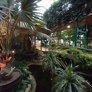 Palmiaria Miejska Gliwice - Historical Pavilion