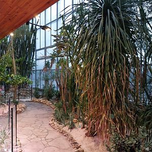 Palmiaria Miejska Gliwice - Succulent Pavilion