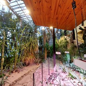 Palmiaria Miejska Gliwice - Succulent Pavilion