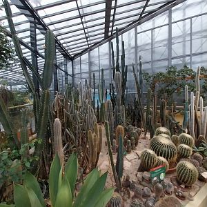 Palmiaria Miejska Gliwice - Succulent Pavilion