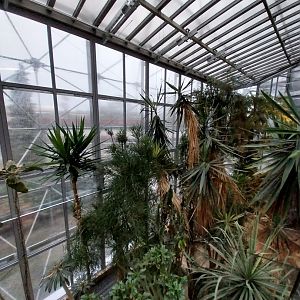 Palmiaria Miejska Gliwice - Succulent Pavilion